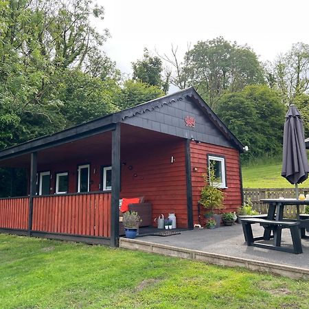 Kabin In The Woods Llandybie Bagian luar foto