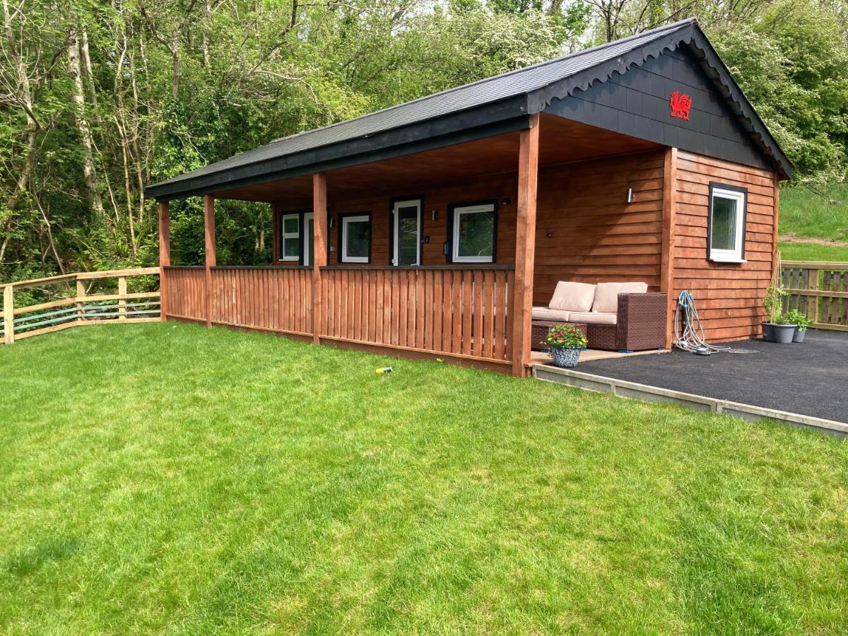 Kabin In The Woods Llandybie Bagian luar foto