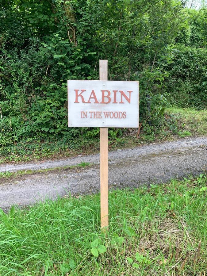 Kabin In The Woods Llandybie Bagian luar foto