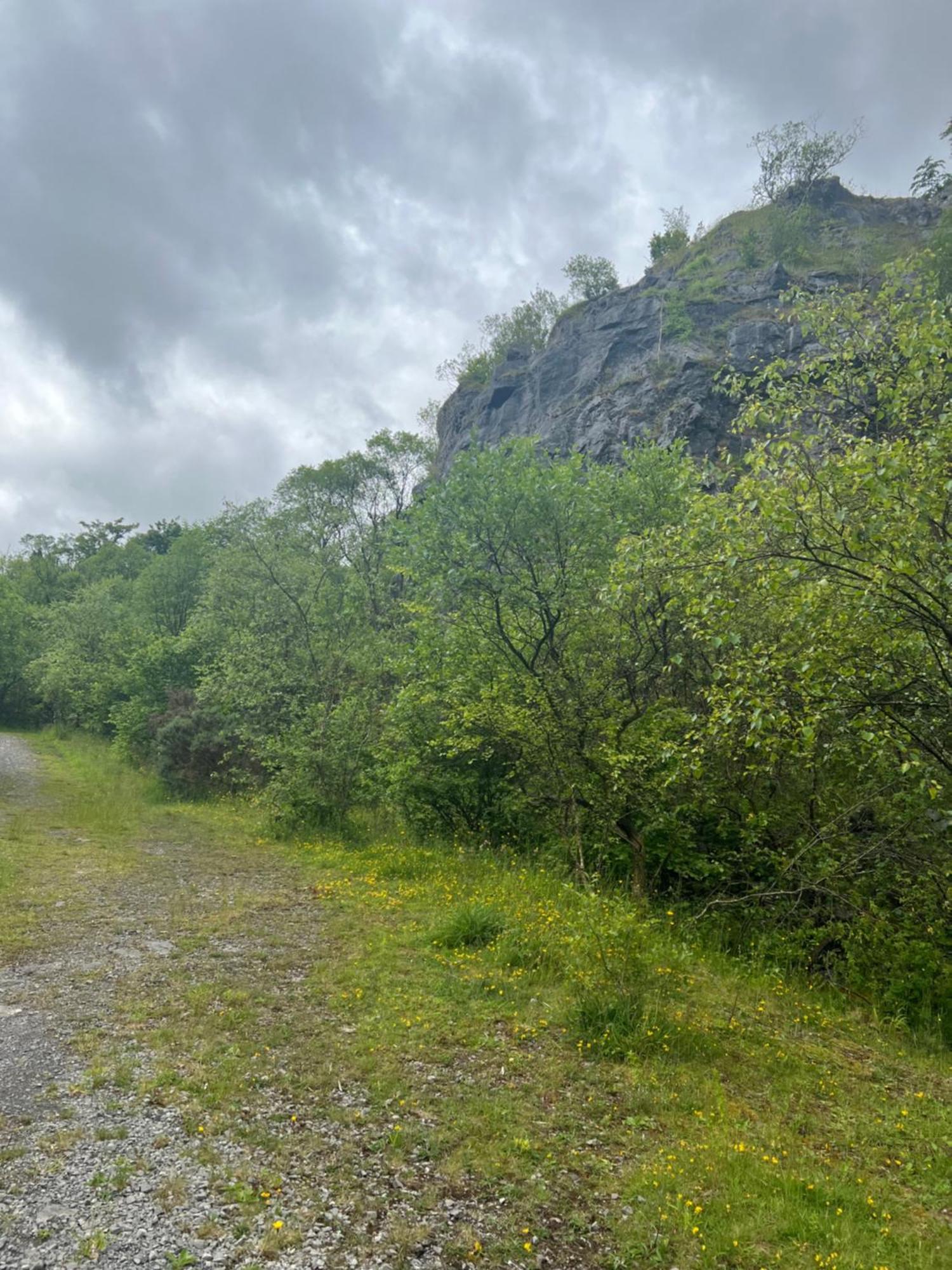 Kabin In The Woods Llandybie Bagian luar foto