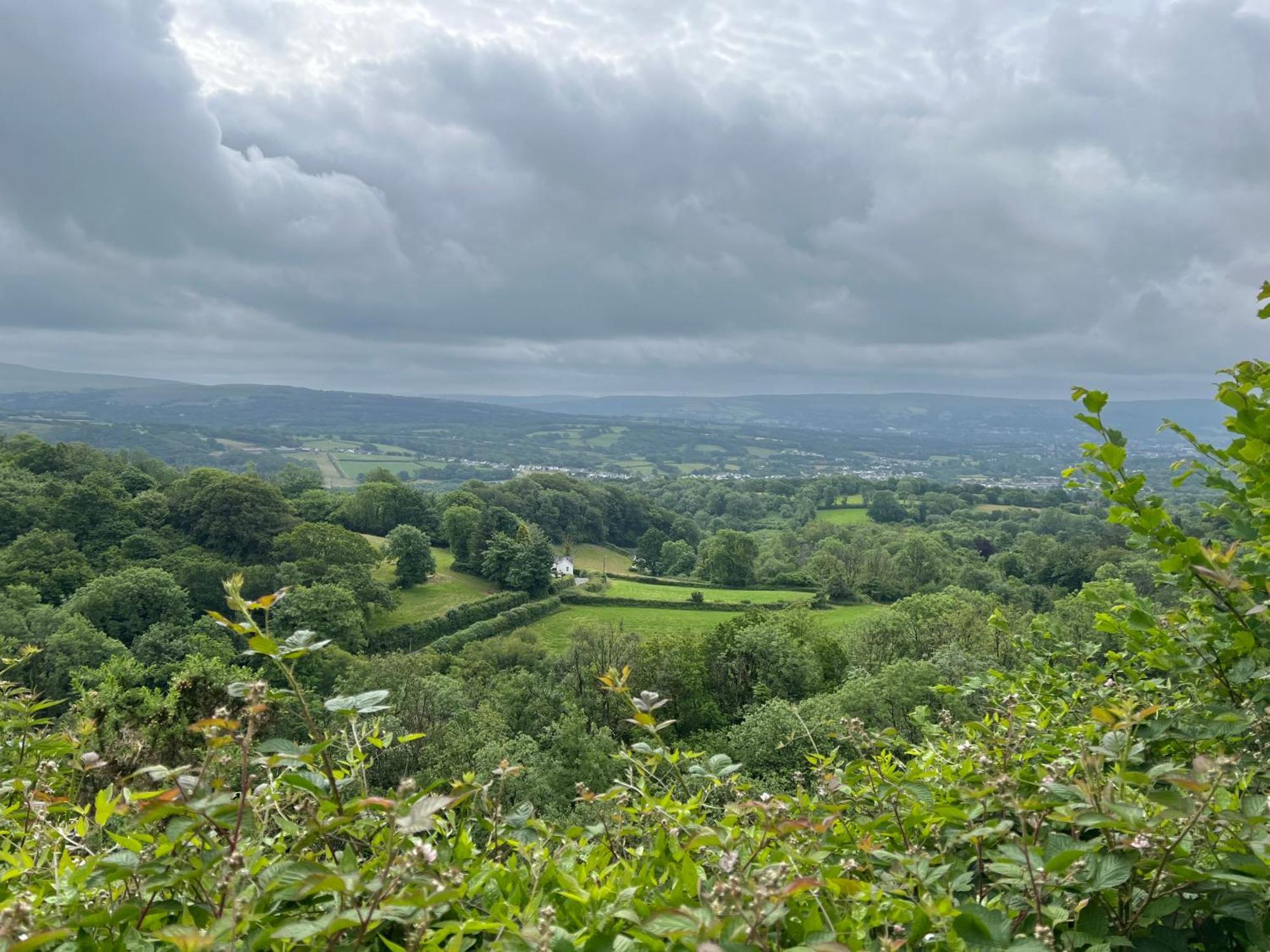 Kabin In The Woods Llandybie Bagian luar foto