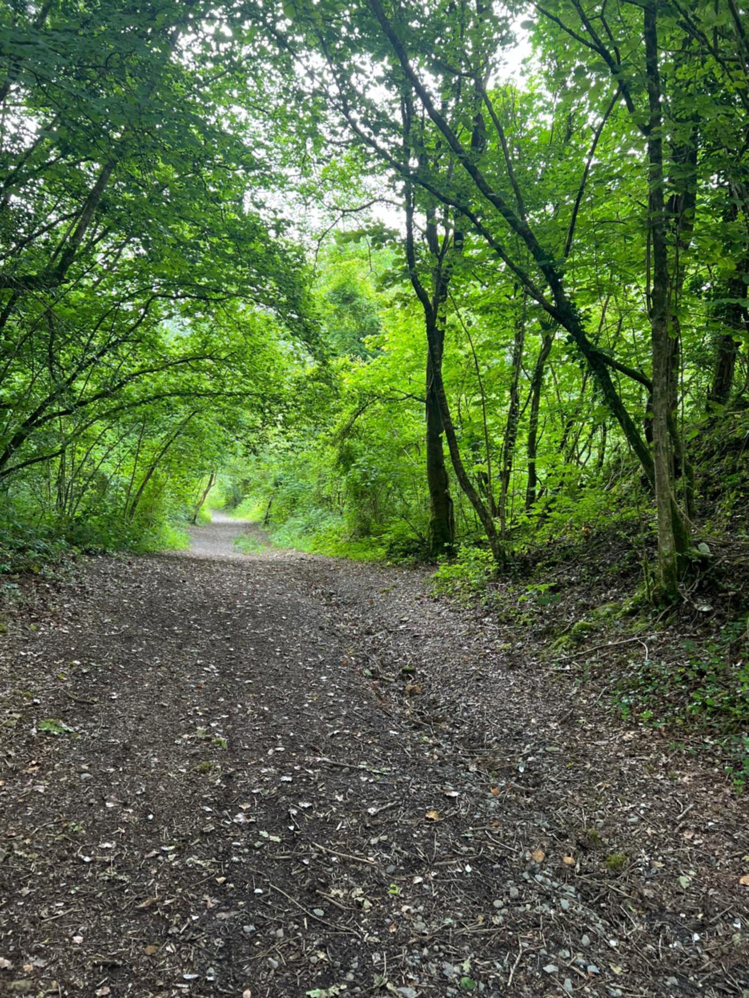 Kabin In The Woods Llandybie Bagian luar foto